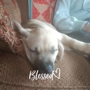 Meet your Posher, Jill